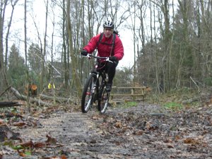2010 1212 Crosstour 004